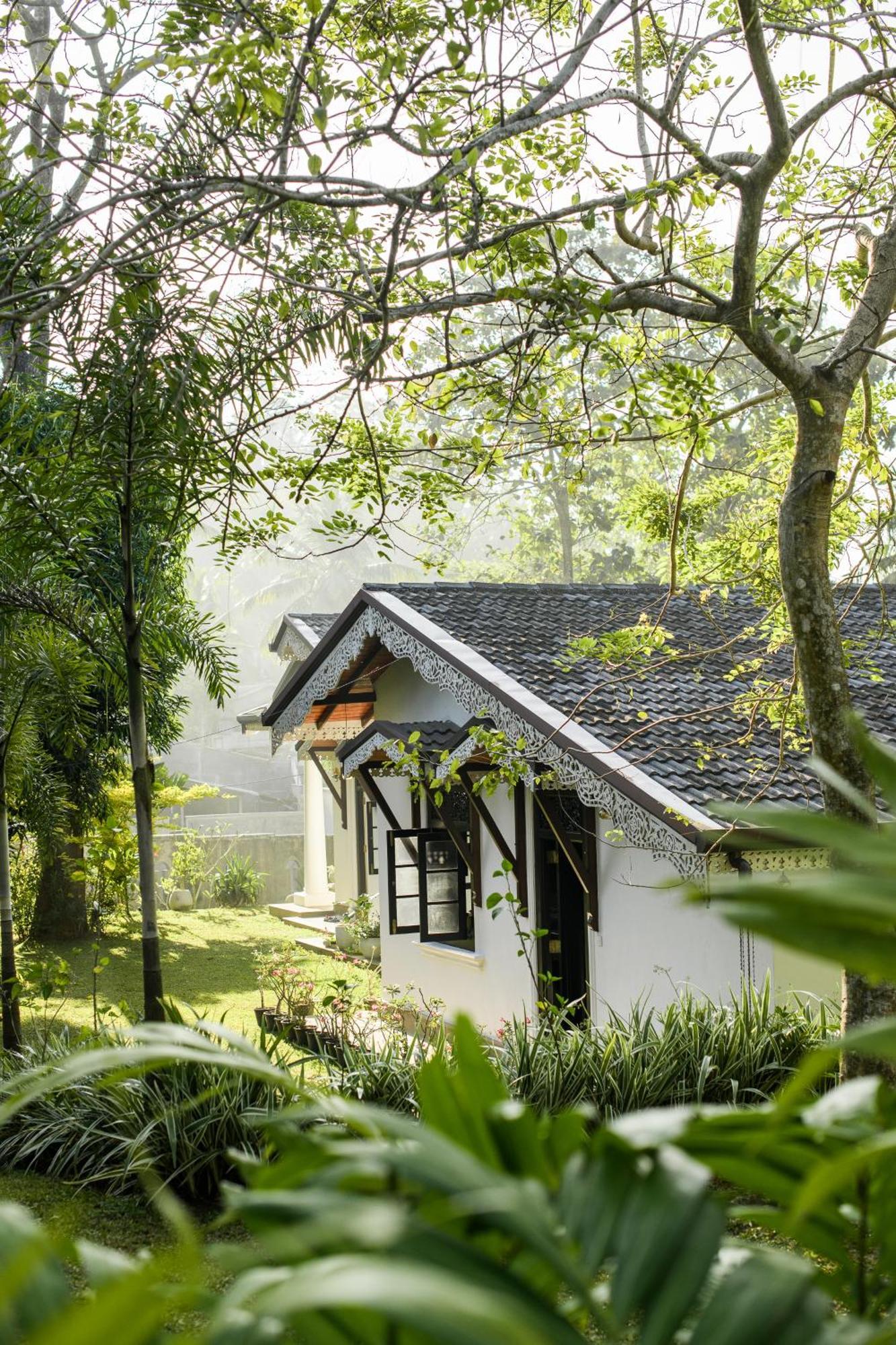 Roots Retreat Hotel Unawatuna Eksteriør billede